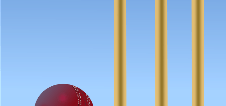 Cricket Bundaberg & Cricket Fraser Coast for kids