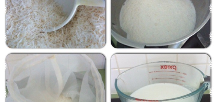 How to make Coconut Milk at home