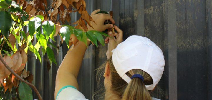 geocaching bundaberg