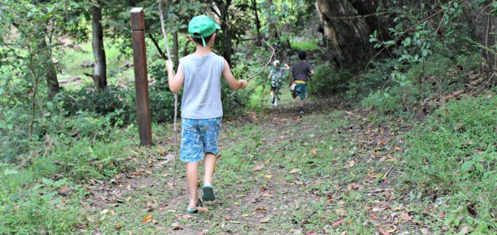 bundaberg nature play
