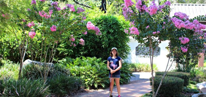 botanic gardens hervey bay