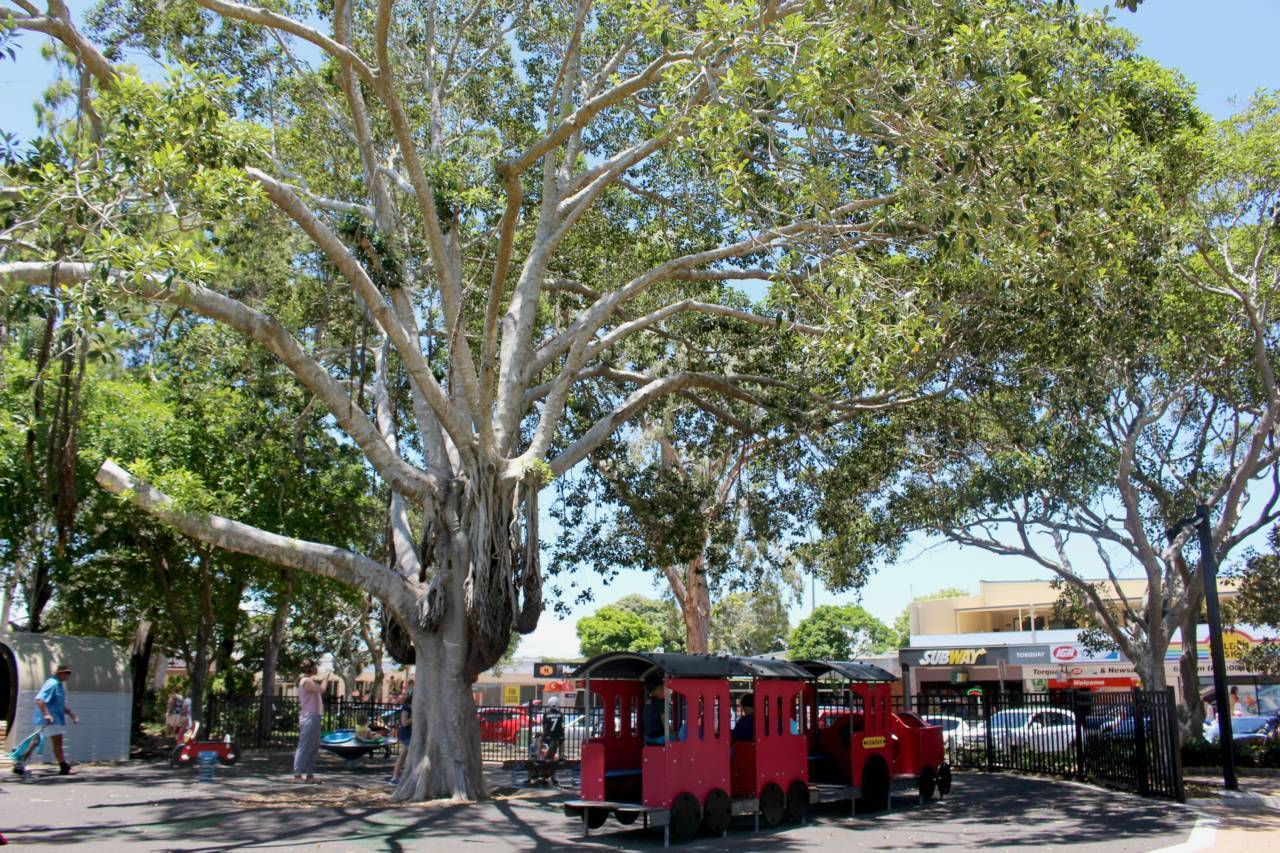 Train Park Ernie Organ Park Hervey Bay Wide Bay Kids