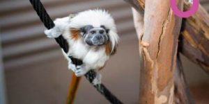 Milbi Festival Bundaberg