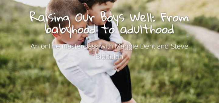 Raising Our Boys Well: From babyhood to adulthood 5