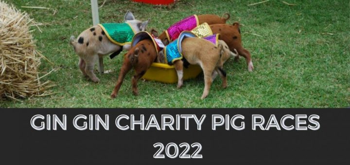 Gin Gin Charity Pig Races 2022 31
