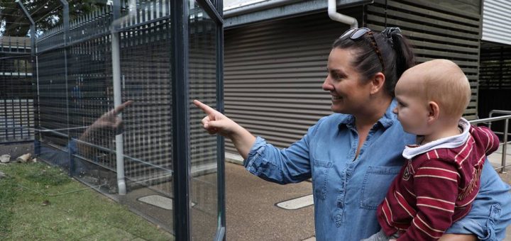 Alexandra Park Zoo 2