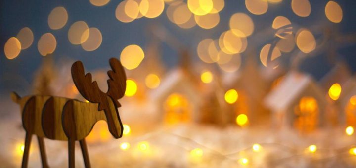 Wooden Reindeer 10