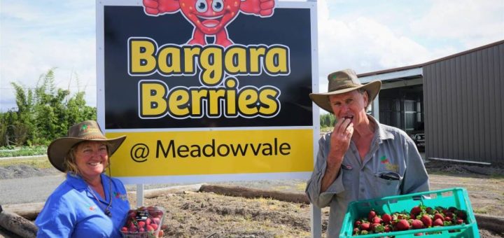 Bargara Berries at Meadowvale Fun Day 30
