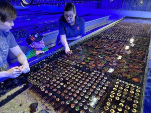 Monsoon Aquatics School Holiday Tours 21 Monsoon Aquatics School Holiday Tours 14