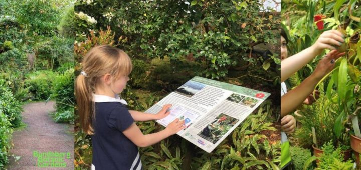 What's on at The Bundaberg Botanic Gardens this Spring School Holidays