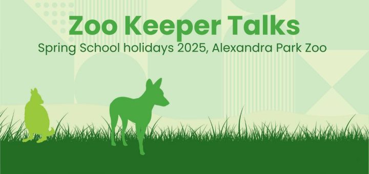 Zoo Keeper Talks at Alexandra Park Zoo – Spring School Holidays 2025