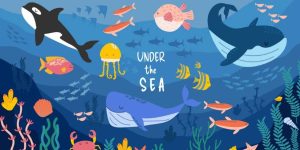 Childers Neighbourhood Centre School Holiday Fun: Under the Sea & Space Week