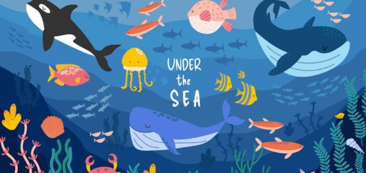 Childers Neighbourhood Centre School Holiday Fun: Under the Sea & Space Week