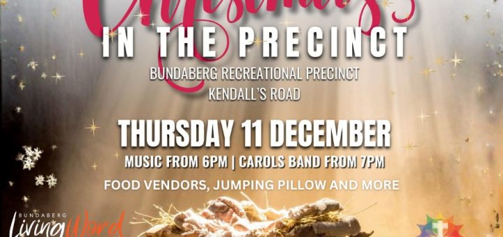 Christmas in the Precinct 9