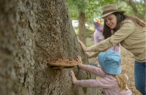 Summer School Holidays with Wild Gully 2025 299