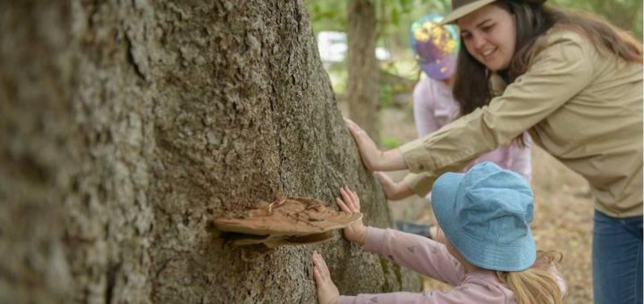 Summer School Holidays with Wild Gully 2025 5