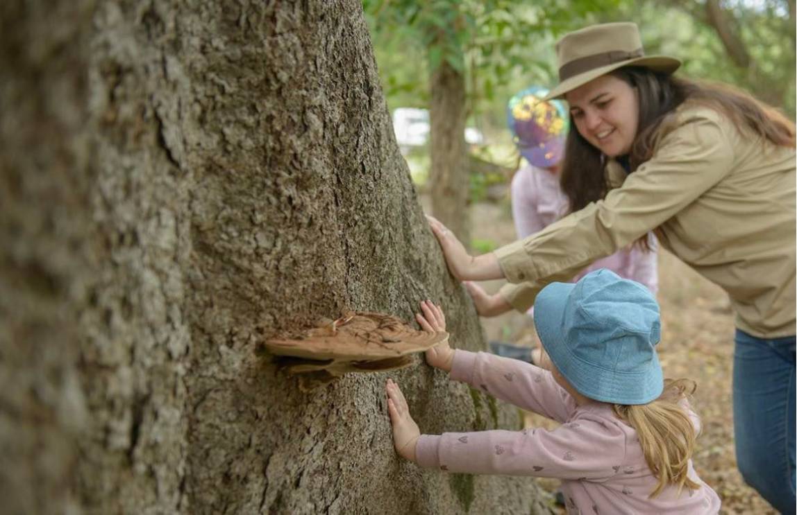 Summer School Holidays with Wild Gully 2025 1