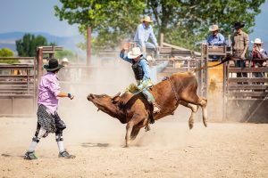 Biggenden Show & Rodeo 3