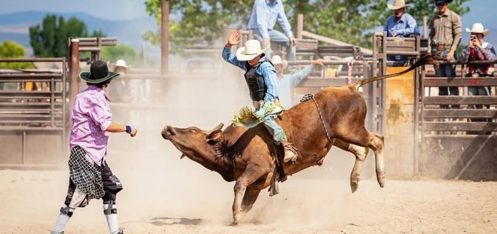 Biggenden Show & Rodeo 2