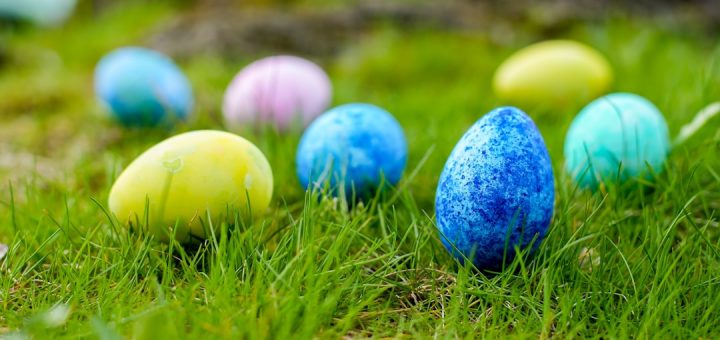 a group of colorful eggs in the grass