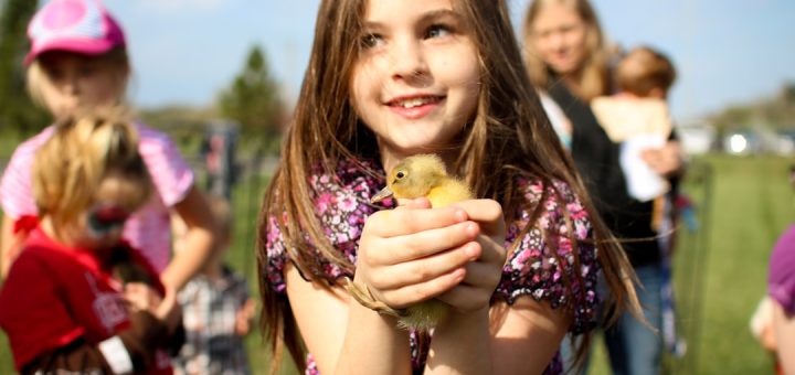 girl holding brown duckling
