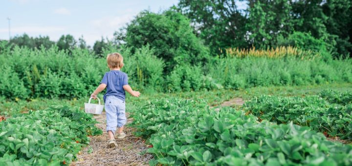 toddler carrying white basket