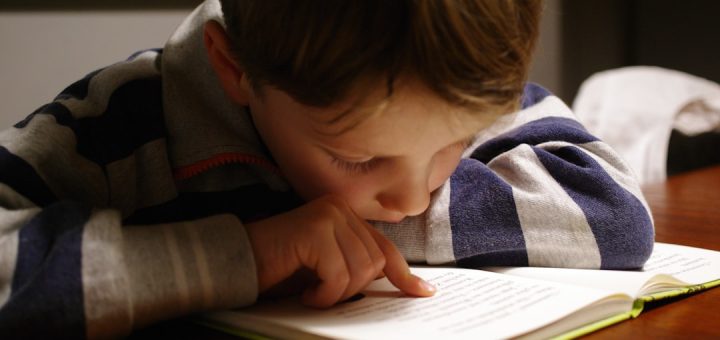 boy in gray and red hoodie reading book