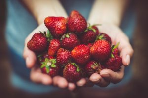 Sunset Markets at the Strawberry Farm 3 shallow focus photography of strawberries on person's palm