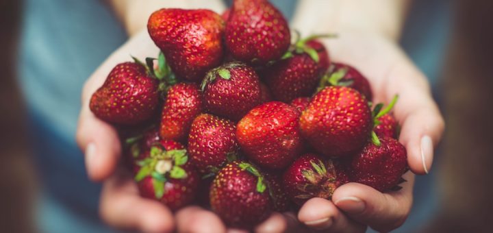 shallow focus photography of strawberries on person's palm