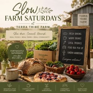 Slow Farm Saturdays at Terra Tribe Farm 1