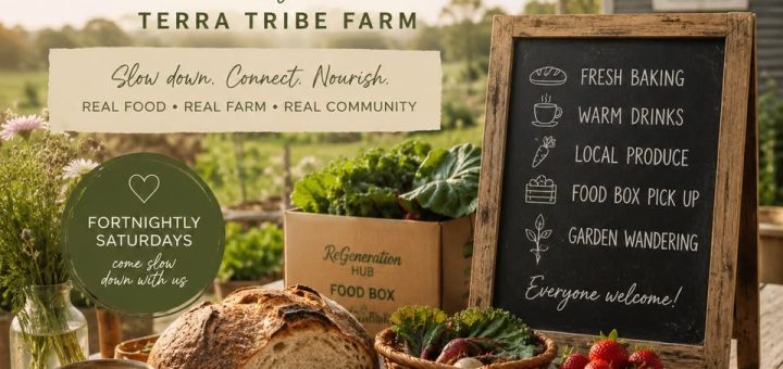 Slow Farm Saturdays at Terra Tribe Farm 1