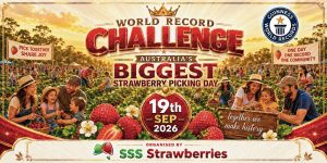 Guinness World Records Challenge – Australia's Biggest Berry Picking Day 8 Guinness World Records Challenge – Australia's Biggest Berry Picking Day 7