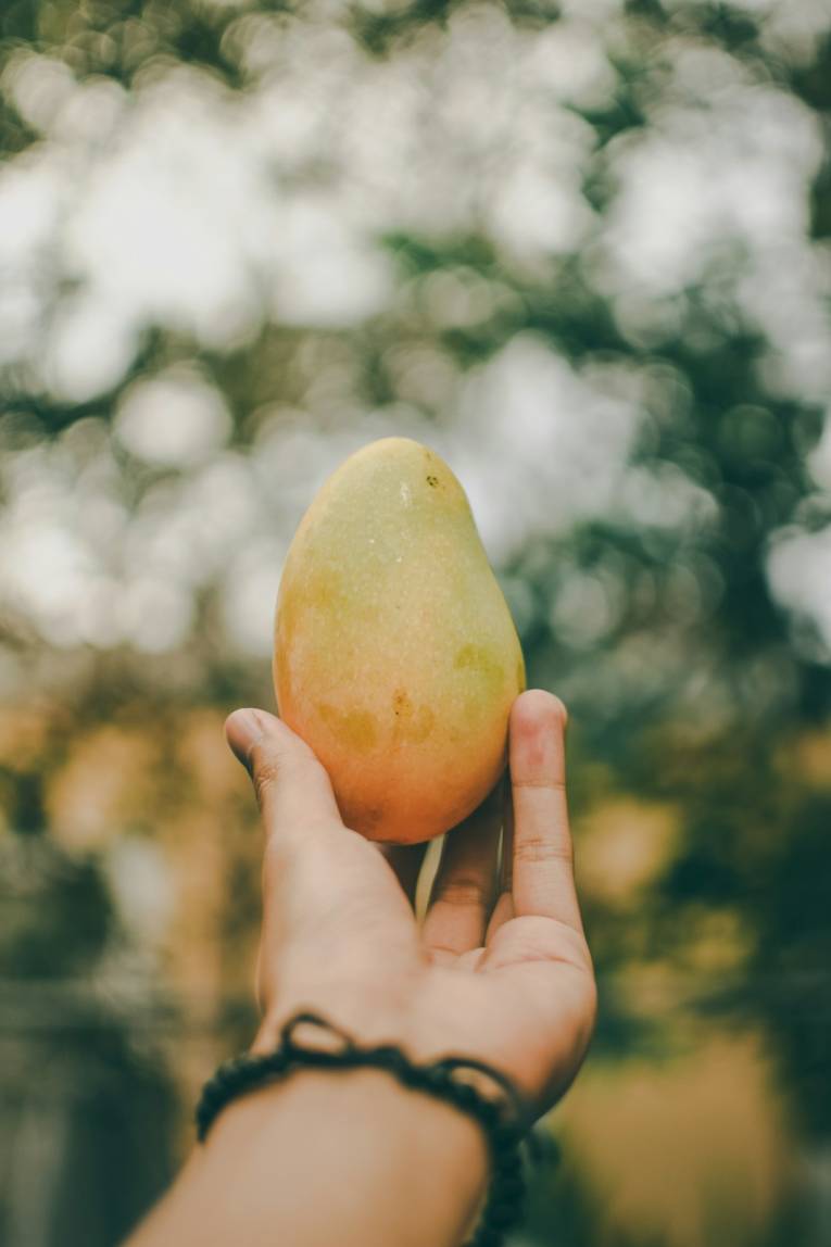 Three plants that make a Wide Bay backyard a better place to play 1 person holding ripe mango